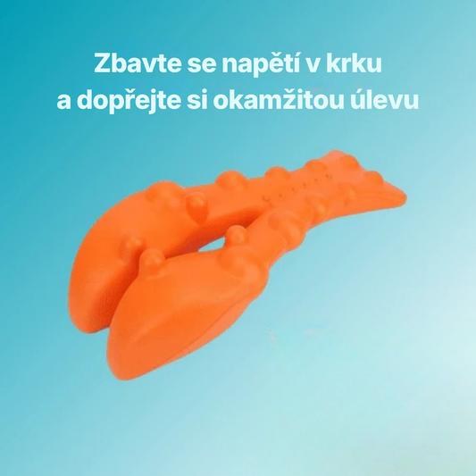 Zeneck: Chytrý Masážní Pomocník